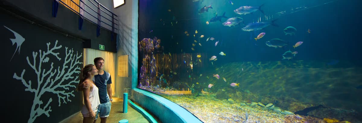 Entrada al Acuario Interactivo de Cancún