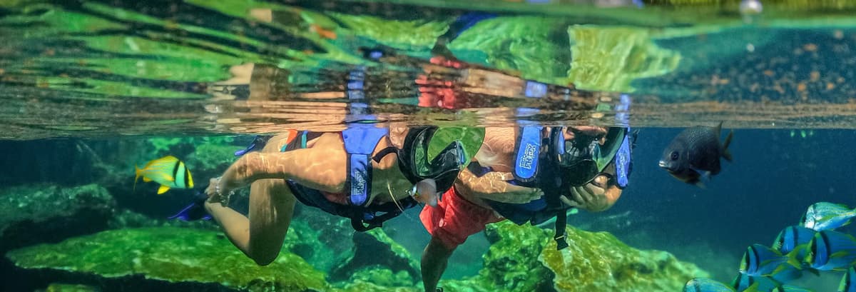 Excursión a Xel-Há