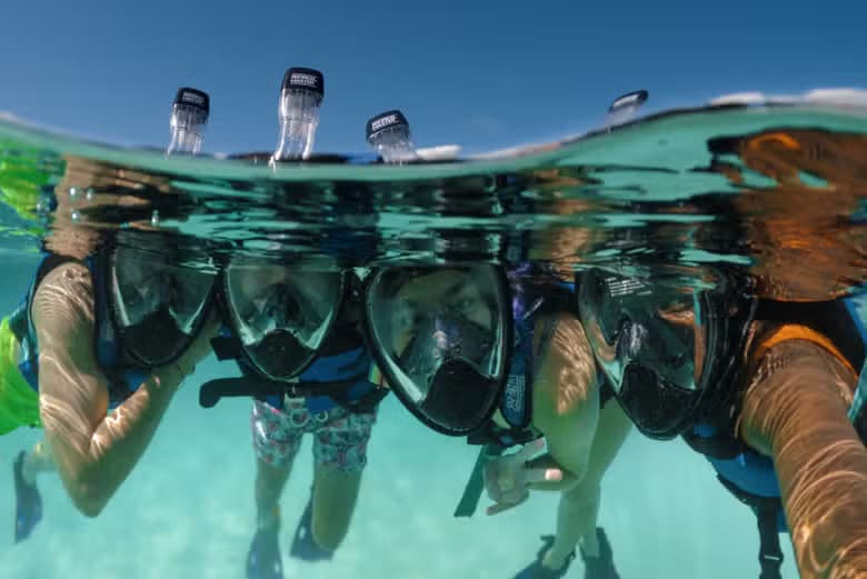 Excursión a Xel-Há - photo 9