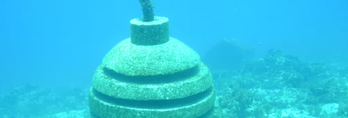 Paseo en barco con fondo de cristal