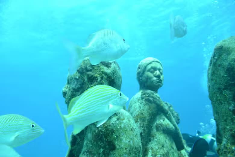 Paseo en barco con fondo de cristal - photo 6