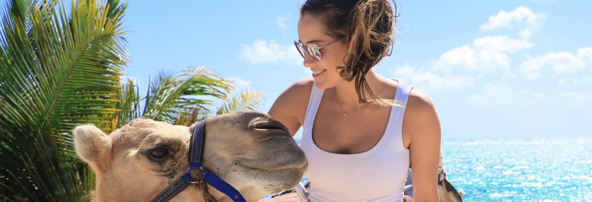 Paseo en camello por Riviera Maya