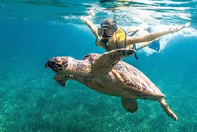 Snorkel en Cancún - photo 3