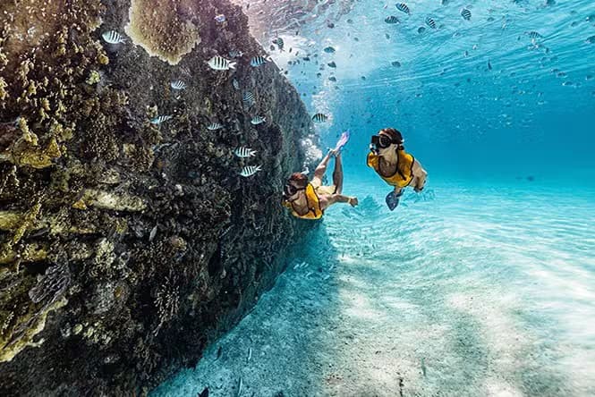 Snorkel en Cancún - photo 4