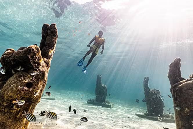 Snorkel en Cancún - photo 5
