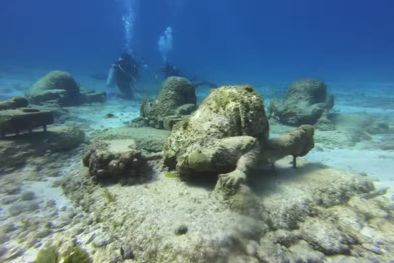 Buceo en el MUSA - photo 7