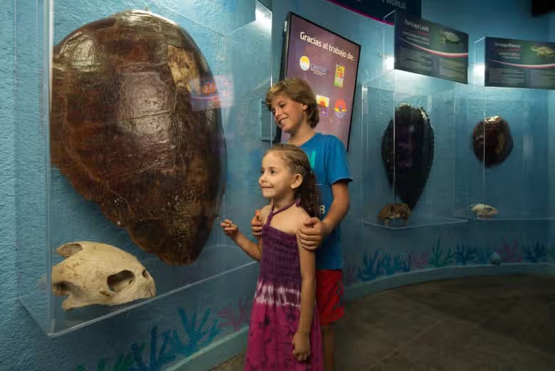 Entrada al Acuario Interactivo de CancĂșn - photo 3