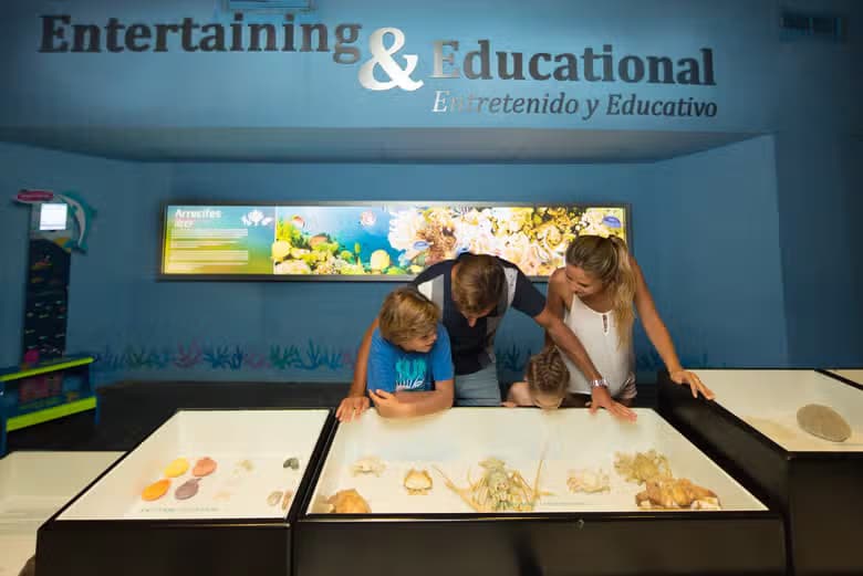 Entrada al Acuario Interactivo de CancĂșn - photo 4