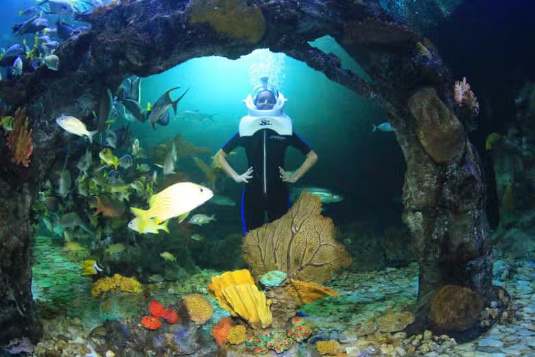 Entrada al Acuario Interactivo de CancĂșn - photo 7