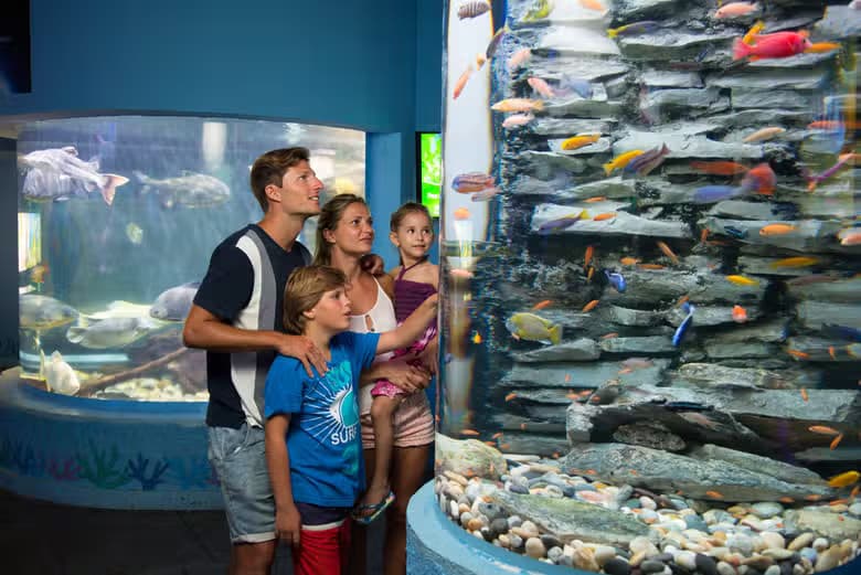 Entrada al Acuario Interactivo de CancĂșn - photo 8