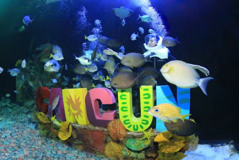 Entrada al Acuario Interactivo de CancĂșn - photo 10