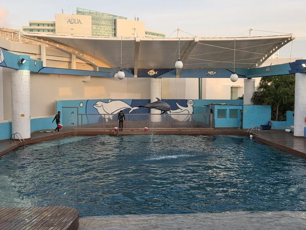 Entrada al Acuario Interactivo de CancĂșn - photo 11