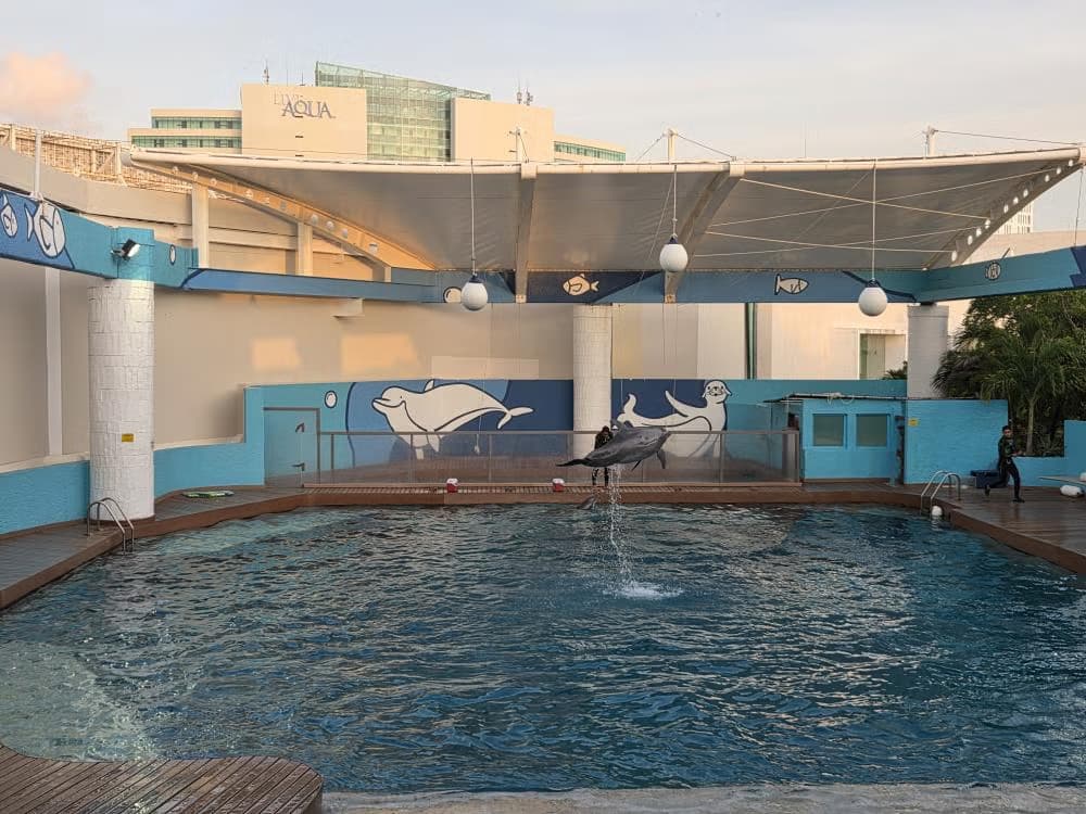 Entrada al Acuario Interactivo de CancĂșn - photo 12