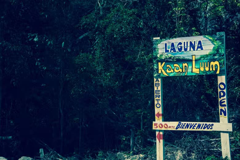 Excursión a la laguna de Kaan Luum y cenotes mayas - photo 9