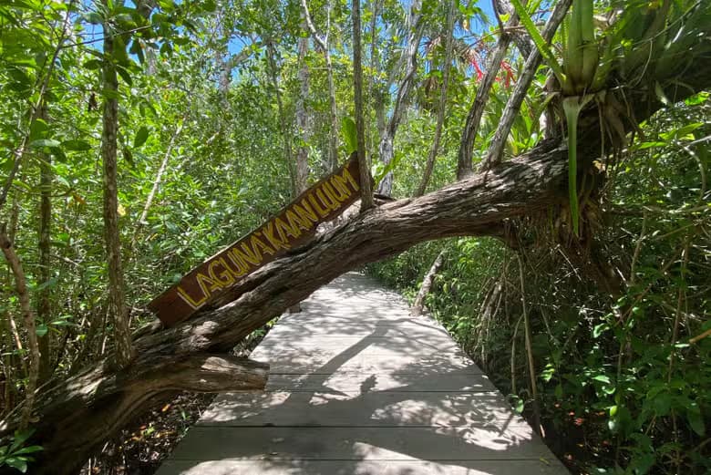 Excursión a la laguna de Kaan Luum y cenotes mayas - photo 10
