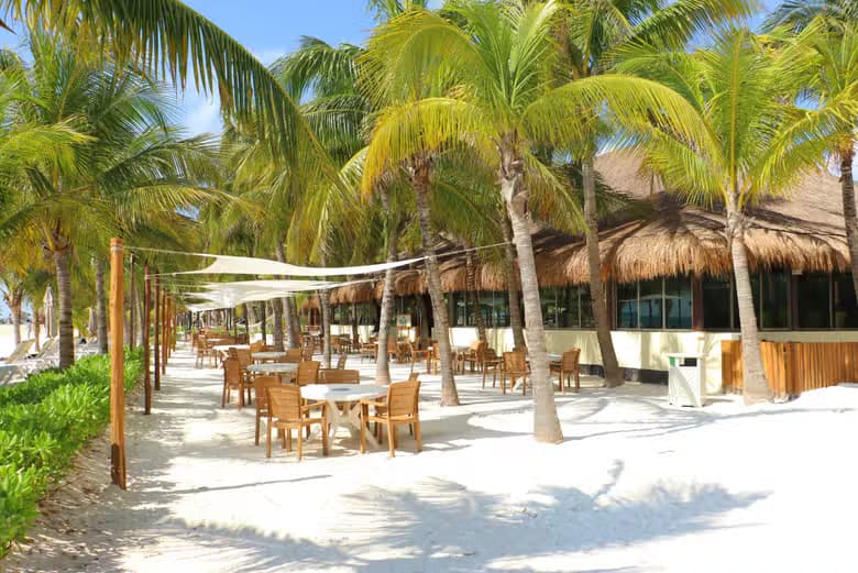 Paseo en camello por Riviera Maya - photo 11