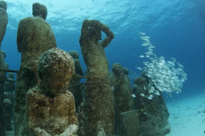 Snorkel en el MUSA - photo 6