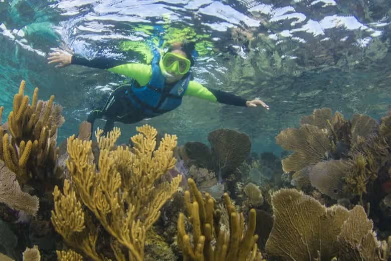 Snorkel en el MUSA - photo 7